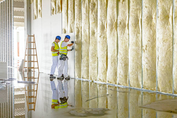 Best Insulation Maintenance and Repair in Fulton, KY